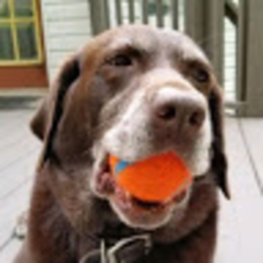 Meet your Posher, Gloria